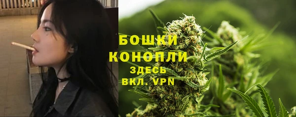 шишки Надым