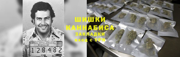 молекула духа Нефтекумск