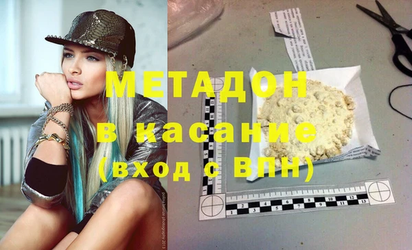 шишки Надым