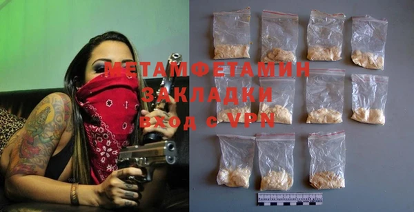 шишки Надым