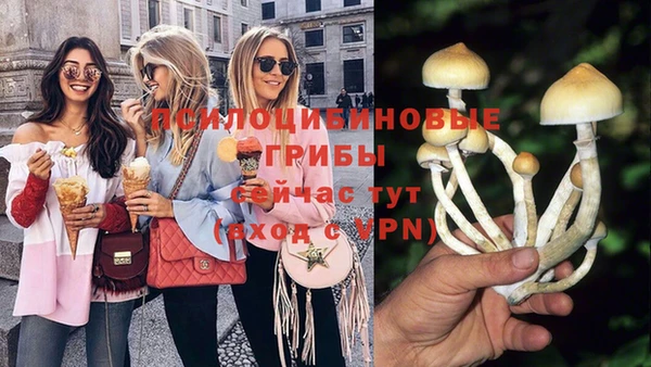 шишки Надым