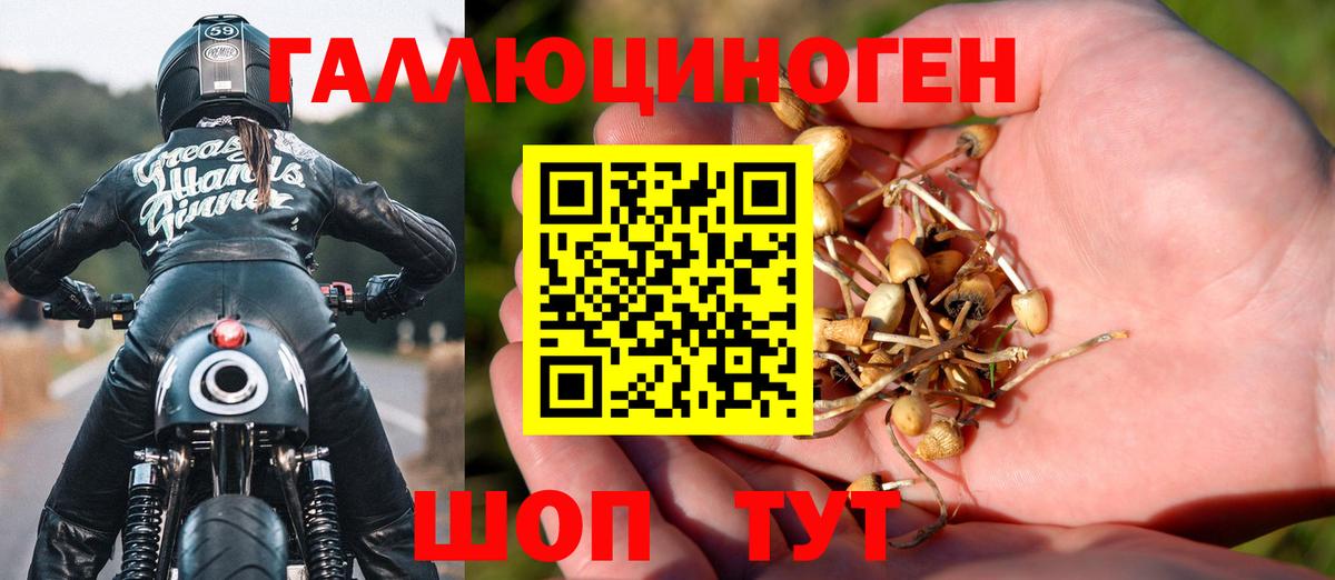 Галлюциногенные грибы Cubensis Владикавказ