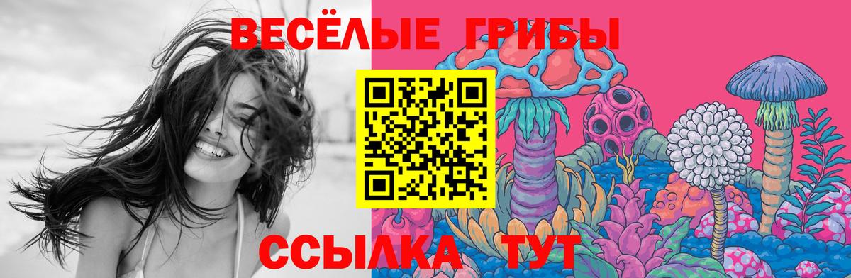 Галлюциногенные грибы мухоморы Владикавказ