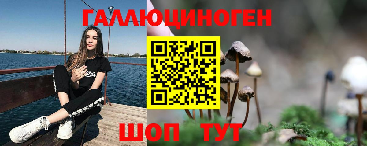Псилоцибиновые грибы Magic Shrooms  Вход с VPN  Владикавказ 