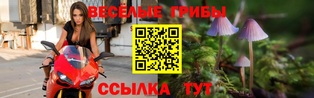 Псилоцибиновые грибы мухоморы  Владикавказ  Галлюциногенные грибы ЛСД 